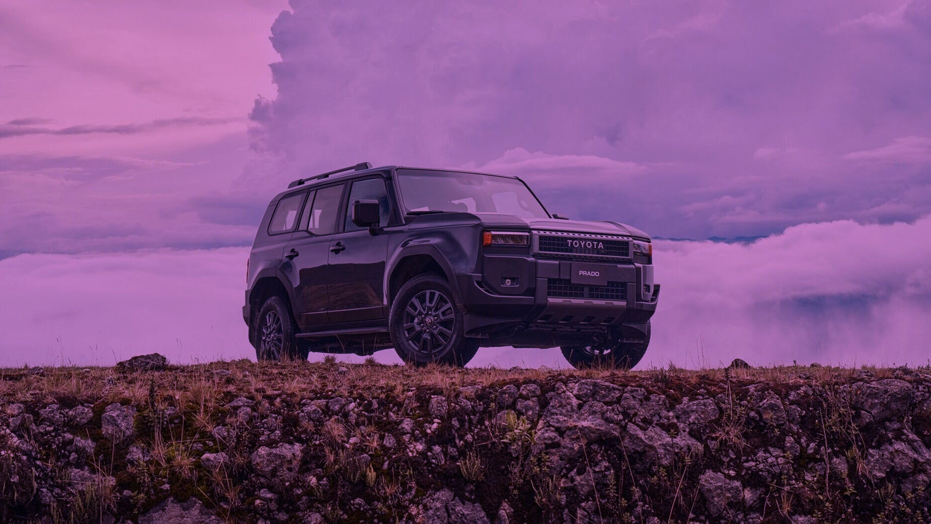 Toyota Prado LC250